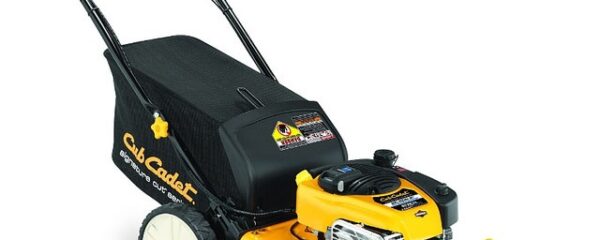 tondeuse avec moteur Briggs & Stratton