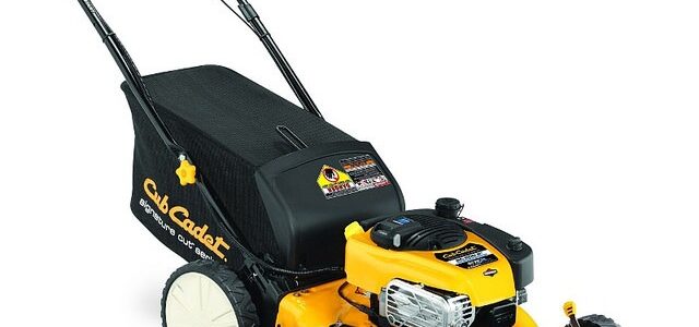 tondeuse avec moteur Briggs & Stratton